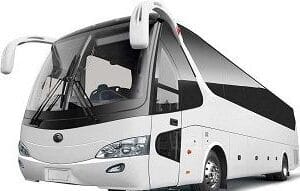 50 53 Seater Bus Rental e1698431692908